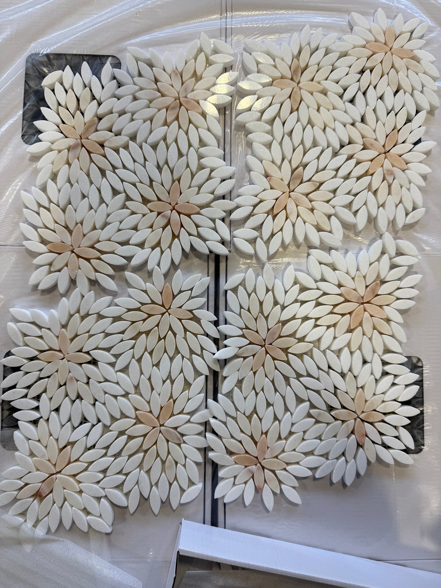 Daisy Rosalba Blend