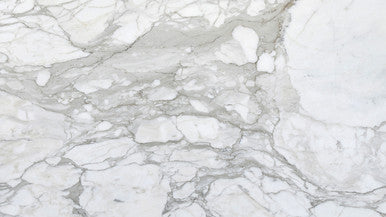 Calacatta Field 12" x 24" Polished