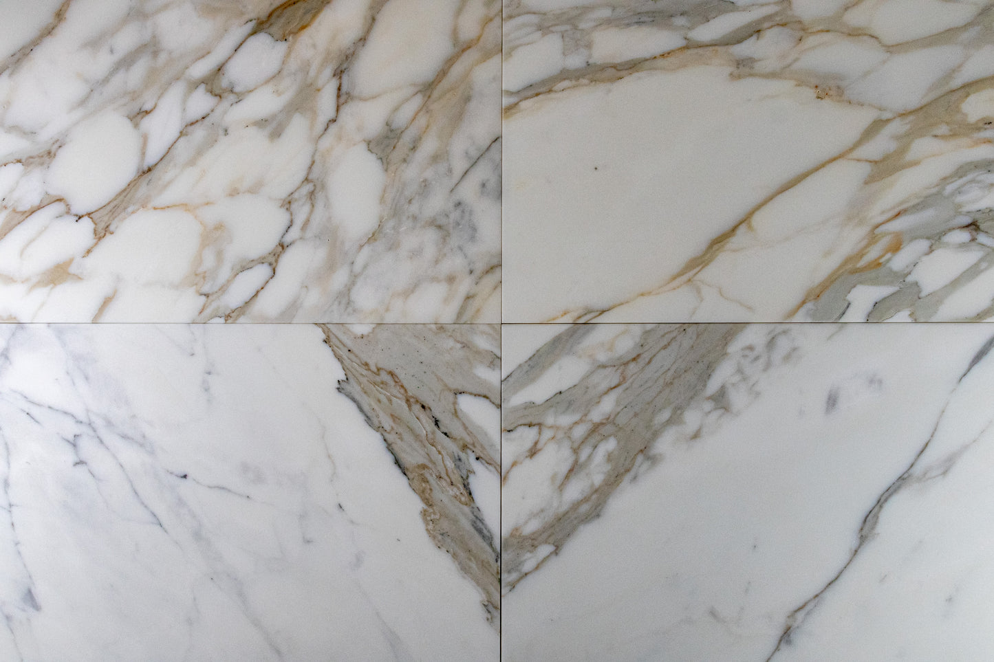 Calacatta Field 12" x 24" Honed