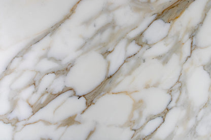 Calacatta Field 12" x 24" Honed
