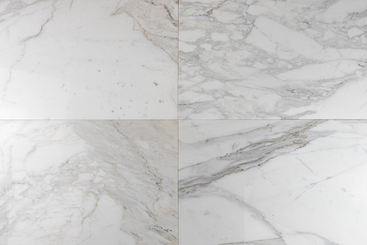 Calacatta Field 12" x 24" Polished