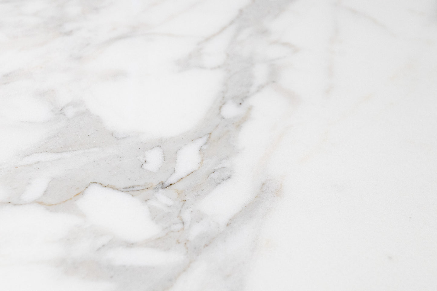 Calacatta Field 12" x 24" Polished