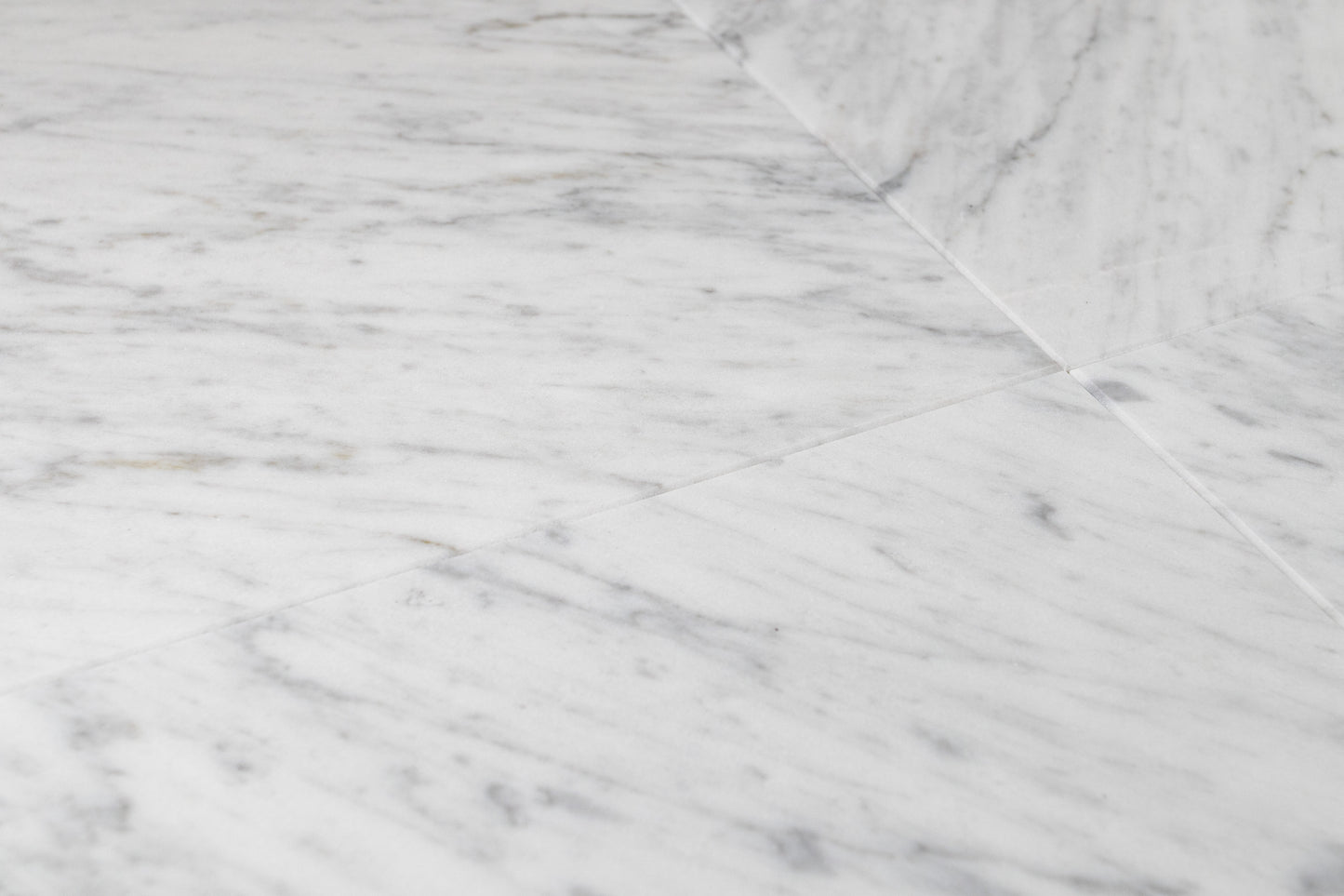 Carrara Field 12" x 12"