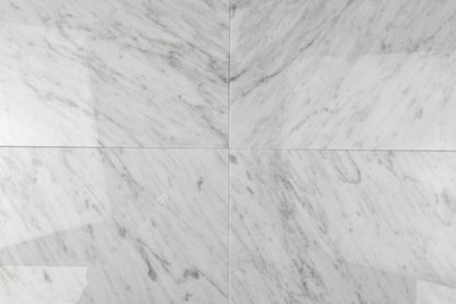 Carrara Field 12" x 12"