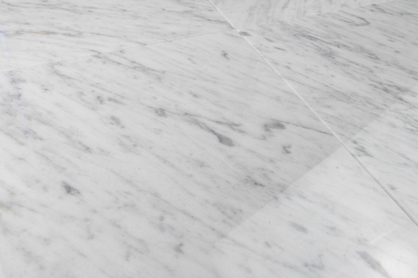 Carrara Field 12" x 12"