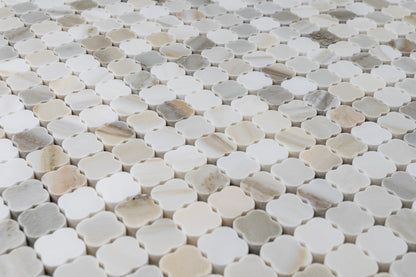 Clover Calacatta