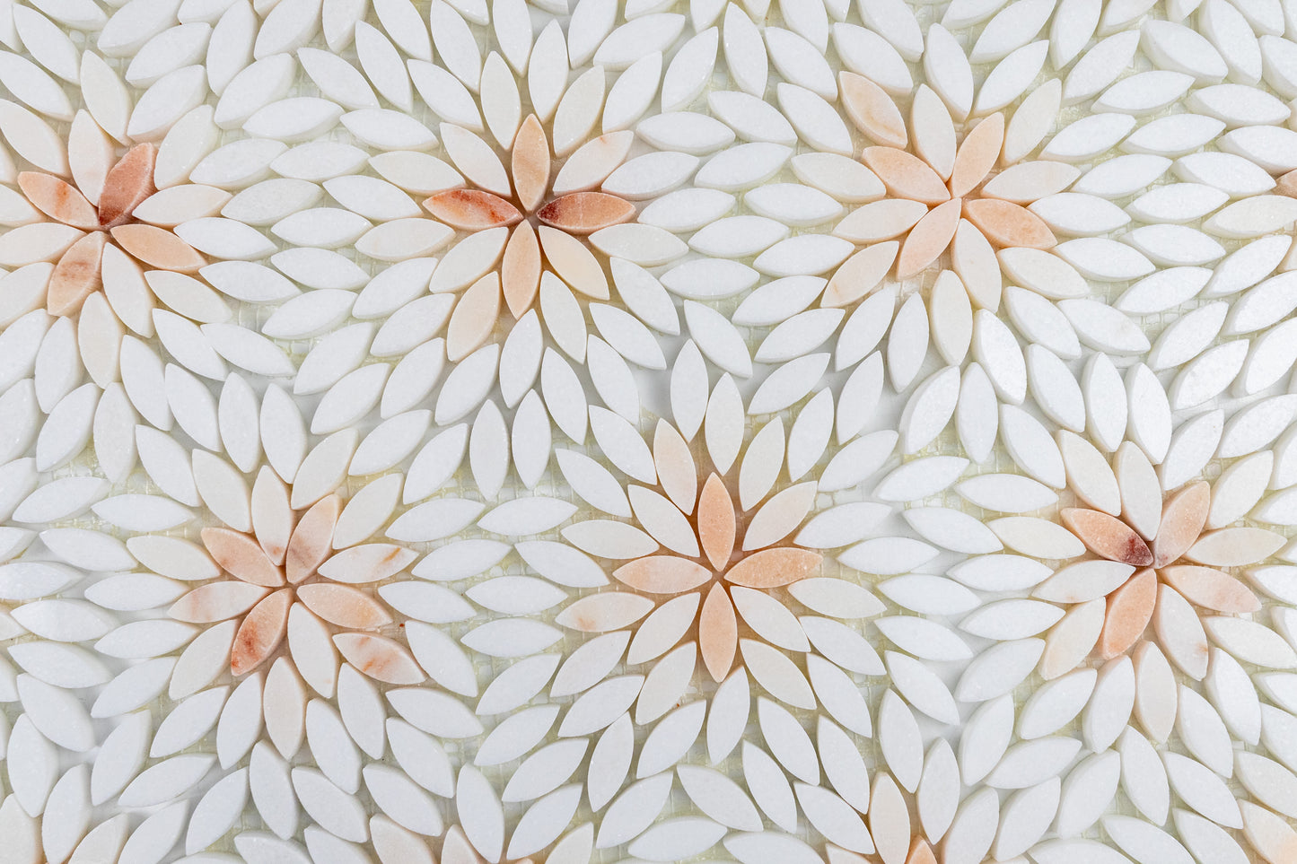 Daisy Rosalba Blend