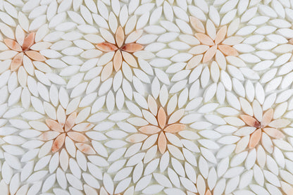 Daisy Rosalba Blend