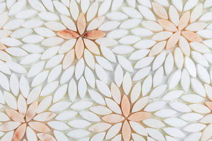 Daisy Rosalba Blend