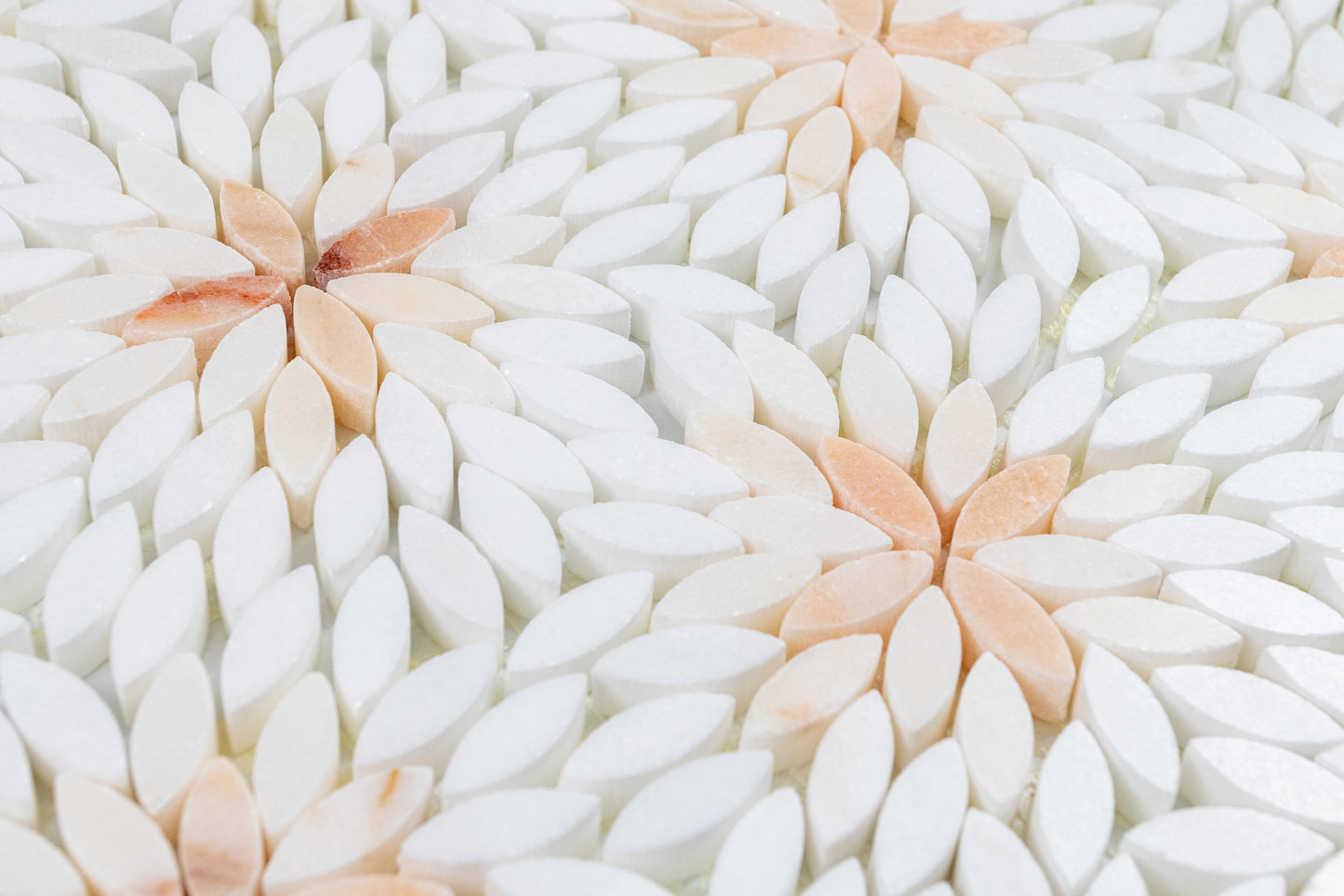 Daisy Rosalba Blend