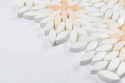 Daisy Rosalba Blend