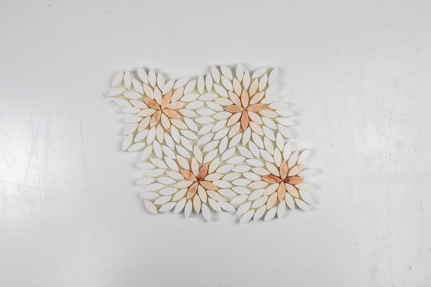 Daisy Rosalba Blend