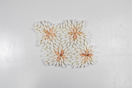Daisy Rosalba Blend