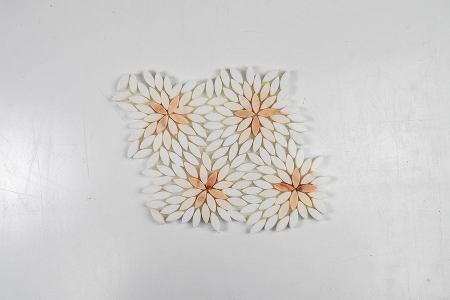 Daisy Rosalba Blend