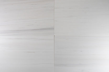 Dolomite Field 12" x 24" Honed
