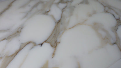Calacatta Field 12" x 24" Honed