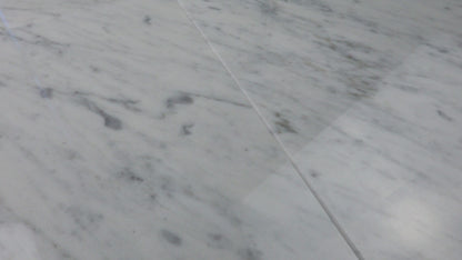 Carrara Field 12" x 12"