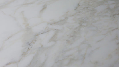 Calacatta Field 12" x 24" Polished