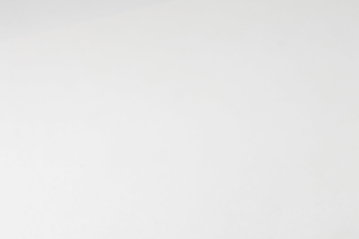 Thassos Field 12" x 24"